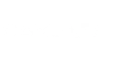 partners who work with VBet