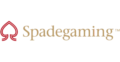 भागीदार जो VBet के साथ काम करते हैं