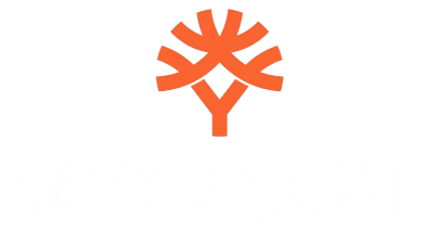 partners who work with VBet